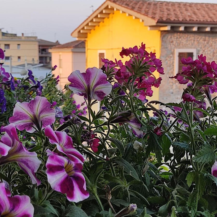 Lovely Casa Paola Villlafranca Centro Zimmer Rooms ヴィッラフランカ・ディ・ヴェローナ エクステリア 写真